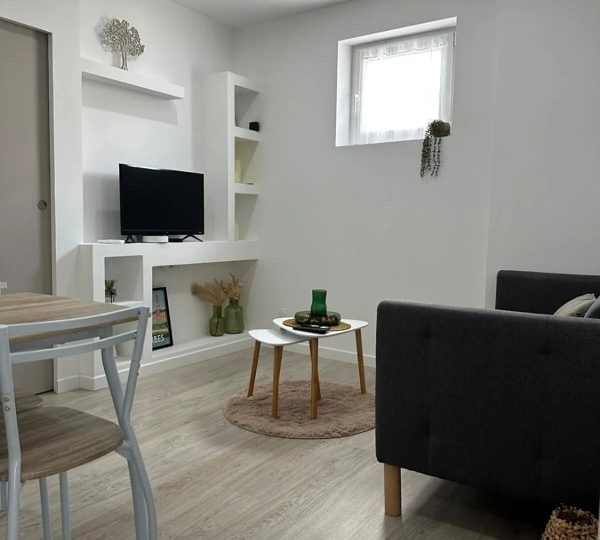 Appartement Cosy Parking Prive Tarbes Daire